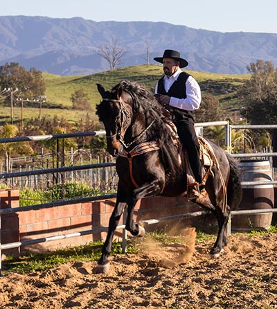 Photo of man on a horse.